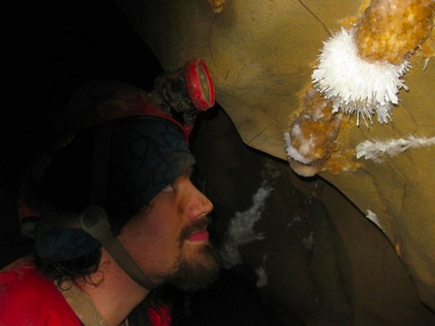 © Tom Leung 2010. Dan Heggs in urchin oxbow Ogof Daren Cilau.