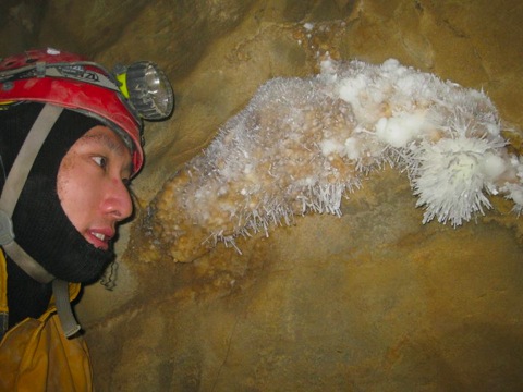 tom and urchins